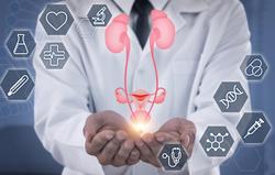 Can ptsd be a va disability for secondary erectile dysfunction?