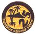 DesRon 25 Patch